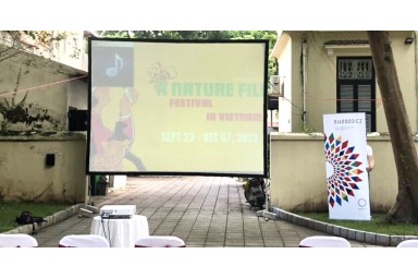 Cho thuê màn hình chiếu giá rẻ tại Hà Nội